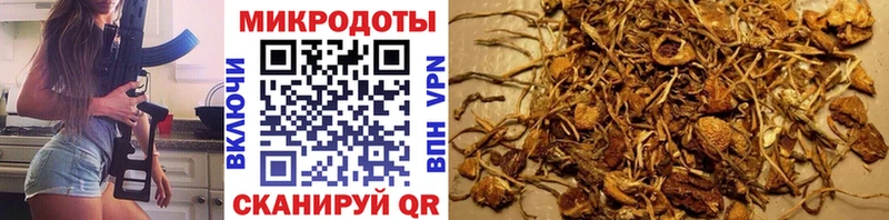 Галлюциногенные грибы мицелий  Туапсе 